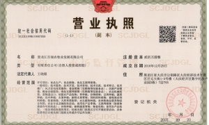 东北大米是杂交水稻吗？一起聊聊真正的东北大米